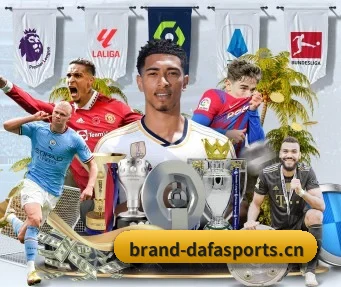 大发体育 APP - DAFA SPORTS
